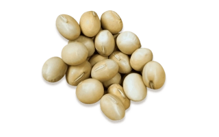 ПРО Геликон