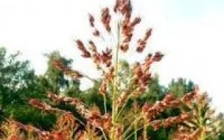 Дніпровська 54