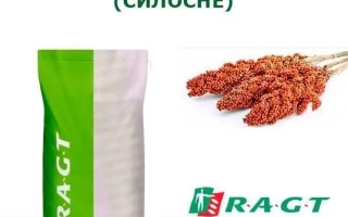 Силосное 3 / Силосне 3