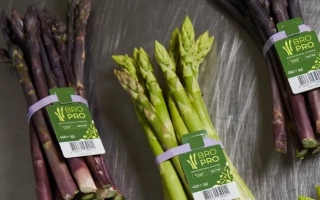 Пучок спаржи с этикеткой XENOLIM - КСЕНОЛИМ