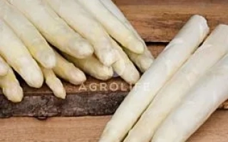 Белая спаржа на деревянной доске - СИГНУС