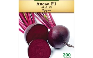 Пакет семян свеклы Акела F1 с изображением корнеплодов