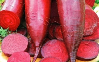 Свекла столовая Алексис на упаковке семян