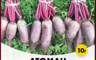 Пакет семян свеклы АТОМАН