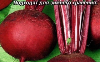 Пакет семян столовой свеклы БАРЫШНЯ с изображением красных корнеплодов