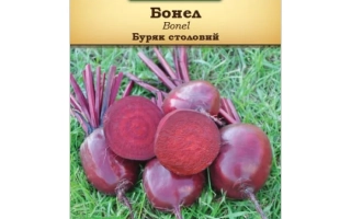 Пакет семян свеклы столовой Бонел на фоне травы