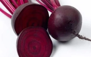 Свекольные корнеплоды сорта Бордо Киевский на белом фоне