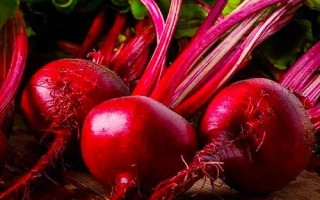 Борщевая Прима