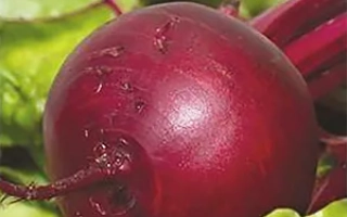 Пакет семян столовой свеклы ЧЕРВОНА КУЛА