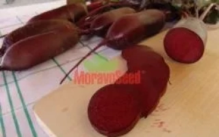 Свекла сорта Цитадела на деревянной доске с нарезанным ломтиком, бренд MoravoSeed