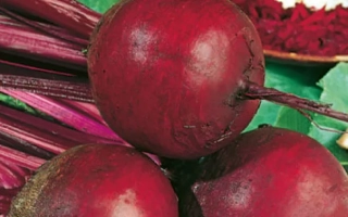 Семена столовой свеклы сорта Детроит 2 на упаковке - Детроит 2 - Неро