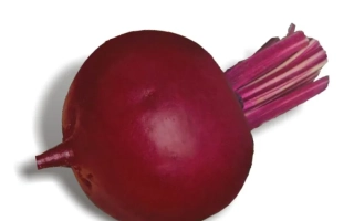 Свекольный продукт Столовая свекла - Детройт