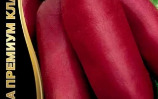 Пакет семян столовой свеклы ГЕНЕРАЛЬСКАЯ