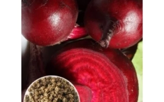 Свекольные клубни и нарезка с семенами в чашке - ГРАНАТОВЫЙ ШАР