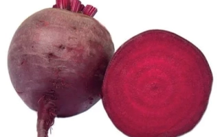 Свекольный корнеплод и его поперечный срез на белом фоне - Джоли