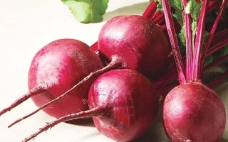 Свекольные корнеплоды сорта Кадет на светлом фоне
