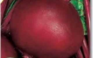 Семена столовой свеклы Кармазин в упаковке PlantCo