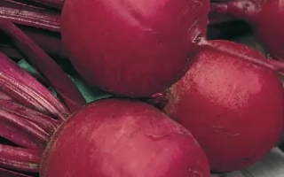 Пакет семян столовой свеклы Катя