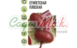 Пакет семян свеклы Египетская плоская - КОМБАТ