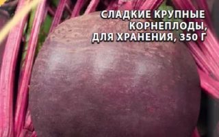 Красная Королева