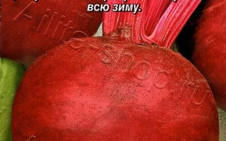 Красный Шар