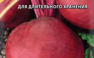 Пакет семян свеклы Крымская Борщевая 1 с изображением красных корнеплодов