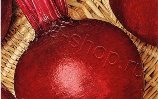 Пакет семян столовой свеклы КУХАРКА