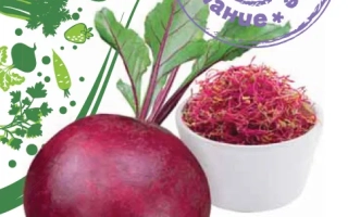 Пакет семян столовой свеклы МЕЧТА КУЛИНАРА с изображением корнеплода и терки