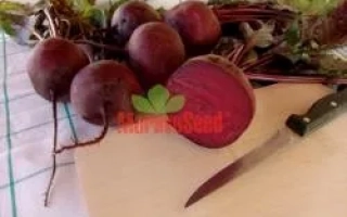 Свекольные корнеплоды с ботвой на деревянной доске, один разрезан, рядом нож - Моника