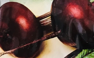 Пакет семян свеклы Носовская плоская