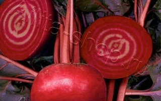 Рубиновая Королева