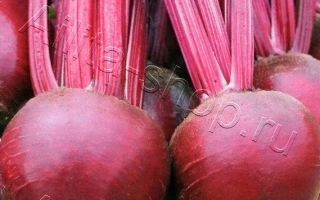 Шоколадница