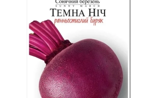 Пакет семян свёклы Темная ночь - ТЁМНАЯ НОЧЬ