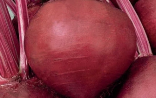 Семена столовой свеклы сорта ВАЛЯ на упаковке