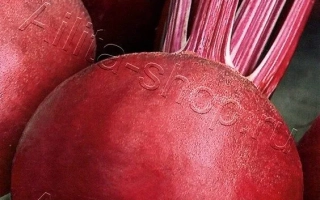 Пакет семян столовой свеклы ВИНЕГРЕТ