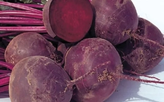Свекольные корнеплоды с ботвой на белом фоне - Ворриор F1