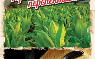 Тернопильский перспективний