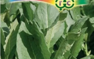 Пакет семян табака сорта ЮБИЛЕЙНЫЙ НОВЫЙ 142