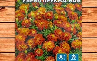 Елена Прекрасная