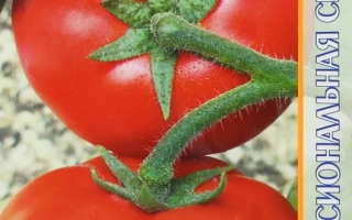 Агрос Розелла