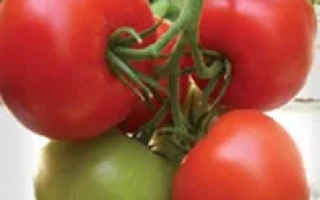 Альгамбра F1