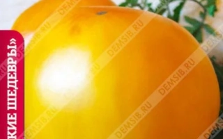 Пакет семян томата Алтайский желтый