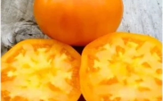 Амана Оранж