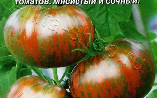 Амурский Тигр