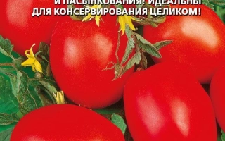 Пакет семян томата Анастасия с изображением красных плодов