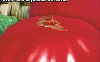 Пакет семян томата Андреевский Сюрприз с изображением красного помидора