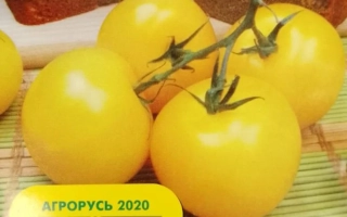 Семена томата Андреика на упаковке с изображением желтых плодов - АНДРЕЙКА