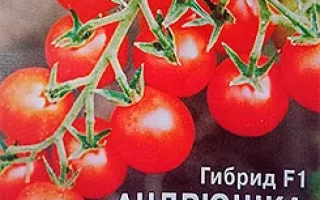 Пакет семян томата гибрида F1 Андрюшка