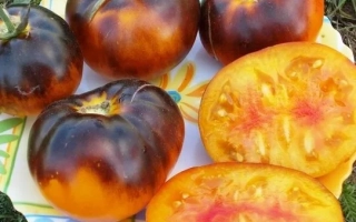 Янтарная Галактика