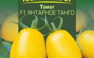 Янтарное Танго